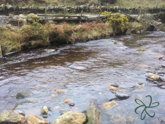 Glen Maye River at Glen Rushen