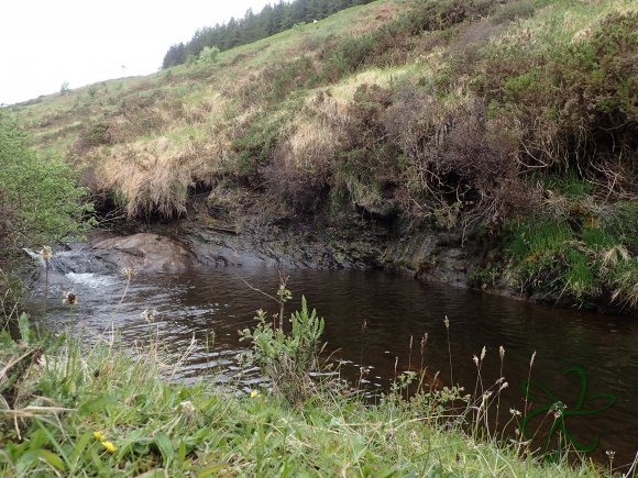 Glen Maye River - Rushen Glen