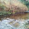 Glen Maye River at Glen Rushen