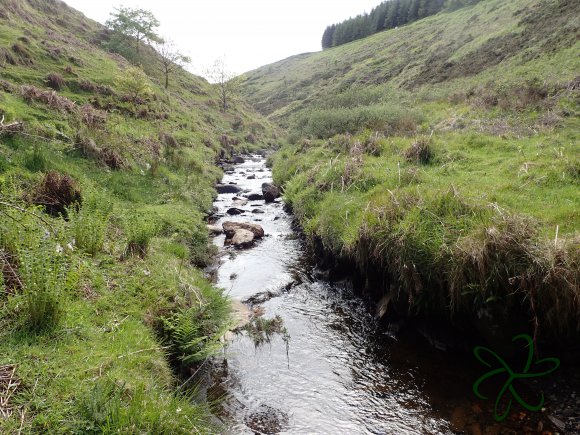 Glen Maye River - Rushen Glen