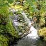 Glen Maye River above Glen Rushen