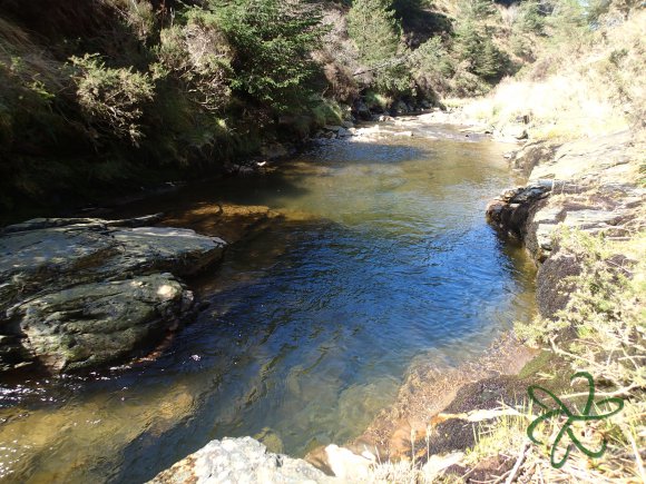 Glen Maye River at Glen Rushen