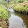 Glen Maye River - Rushen Glen