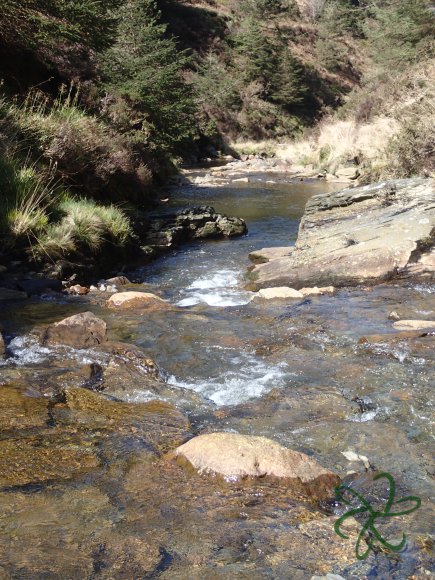 Glen Maye River at Glen Rushen