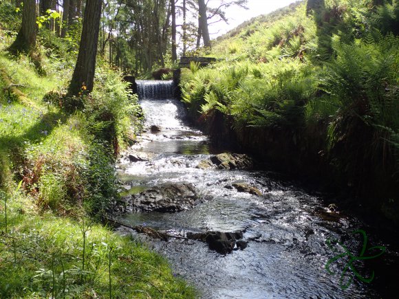 Glen Maye River - Rushen Glen