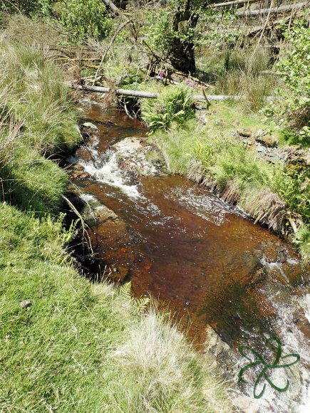 Injebreck River