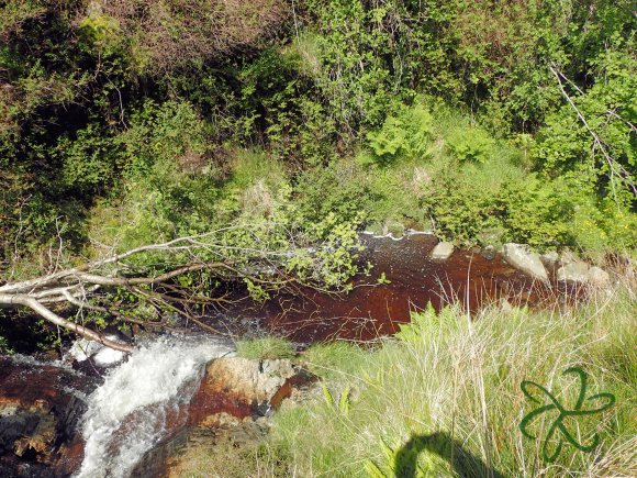 Injebreck River