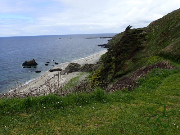 Whitestrand Beach