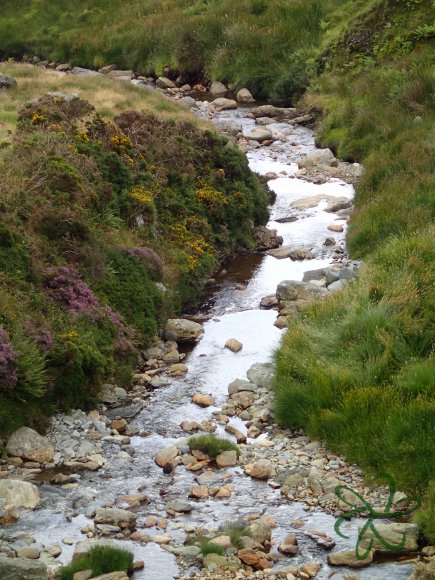 Laxey River