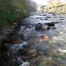 Laxey River