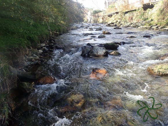 Laxey River Tenkara