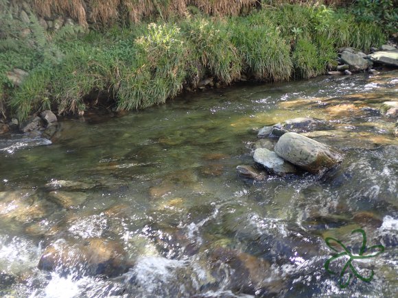 Every pocket holds a fish for Tenkara in the Isle of Man