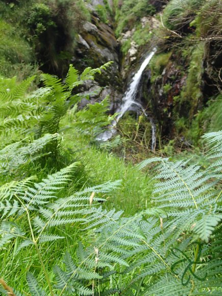 Laxey River