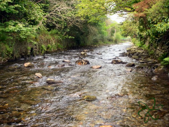 Laxey River