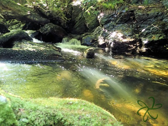 Laxey Glen