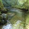 Laxey Glen