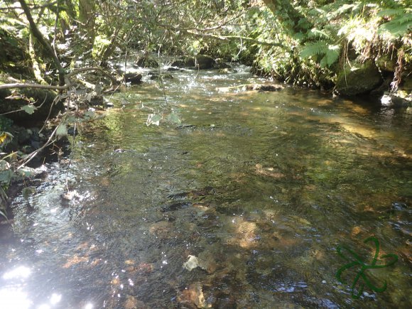 Laxey Glen