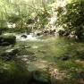 Laxey Glen