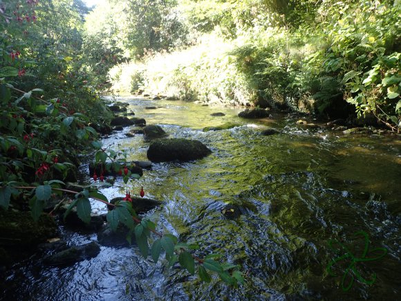 Laxey Glen