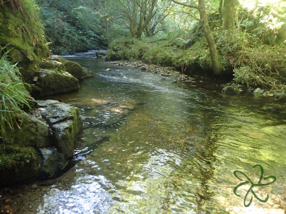 Laxey Glen