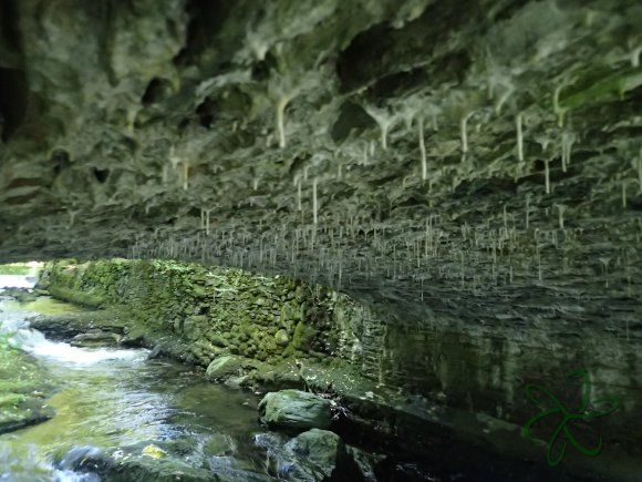 Under the bridge