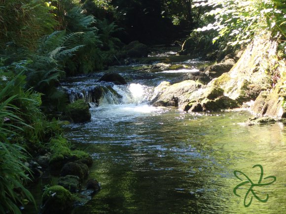 Another cracking pool in Laxey Glen