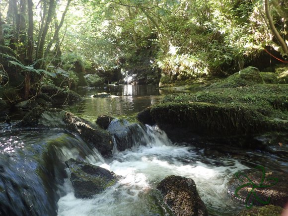 Laxey Glen