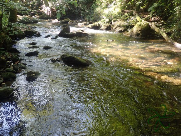 Laxey Glen