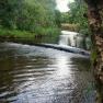 River Neb Weir