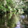 River Neb Pool