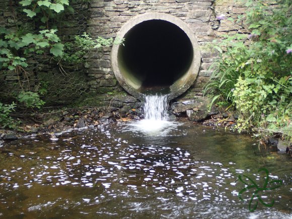 Glen Helen Culvert