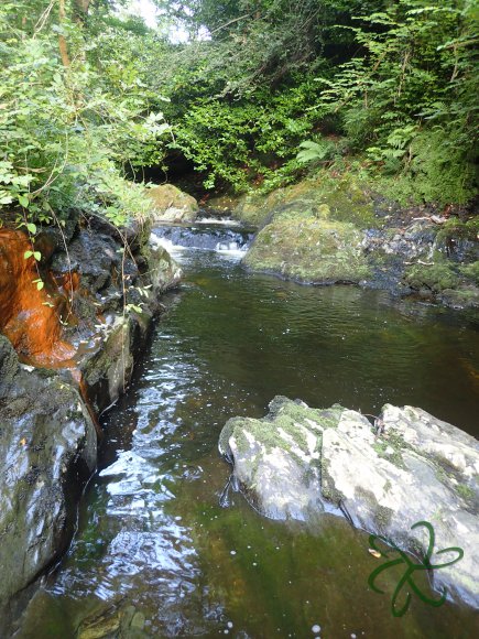 Glen Helen last pool of the day.