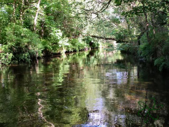 River Neb Pool