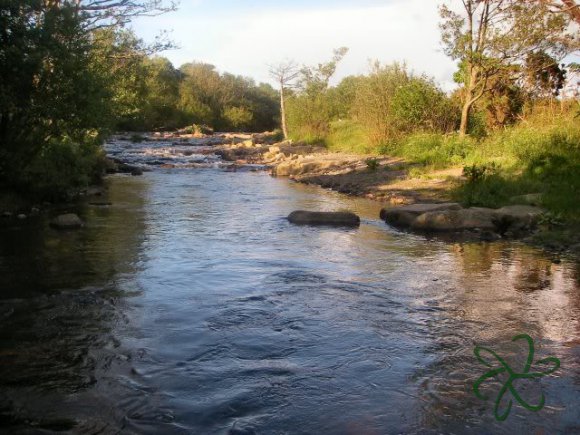 River Neb Old Weir