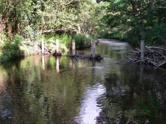 River Neb Pool and Glide