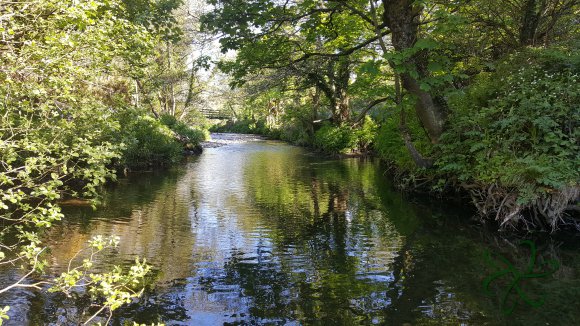 The Raggatt