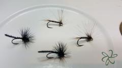 Dry Flies