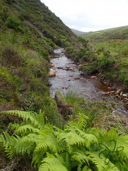 Rhenass River