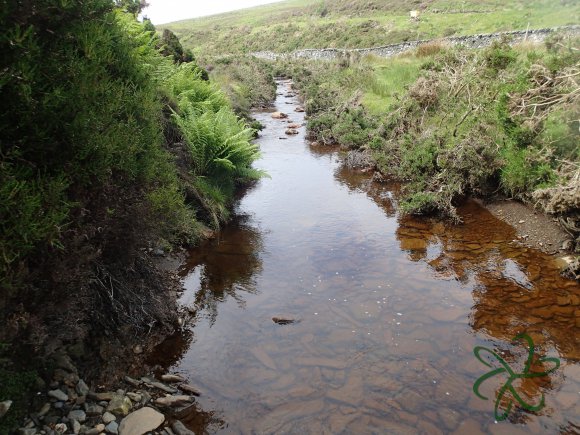 Rhenass River