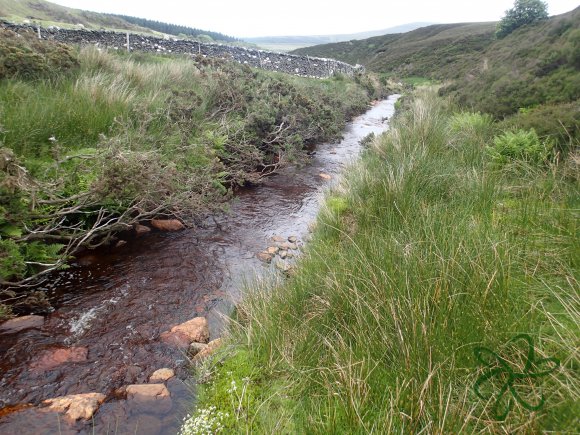 Rhenass River