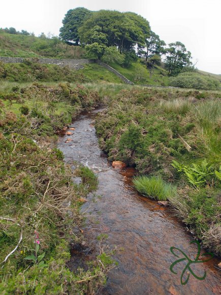 Rhenass River