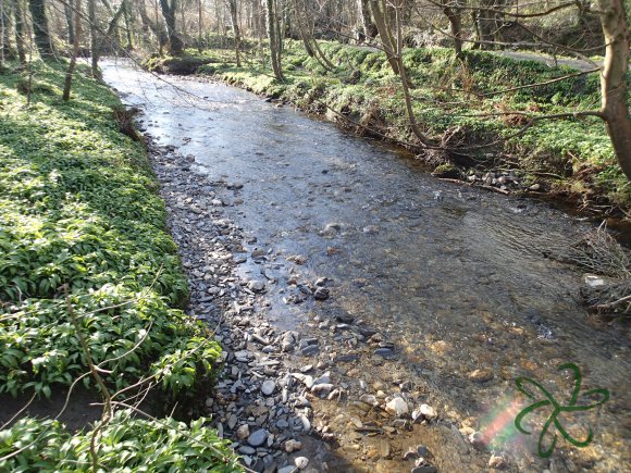 Silverburn River