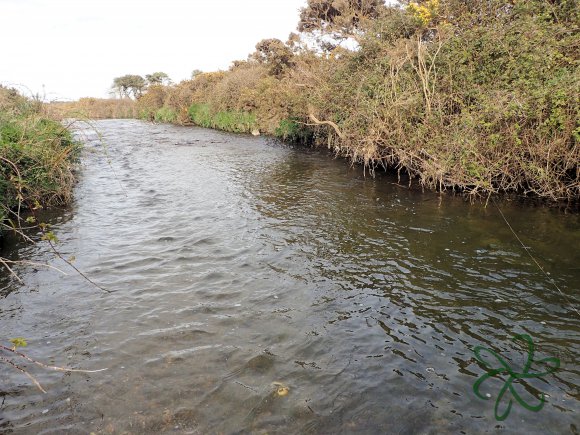 Silverburn River (lower stretch)