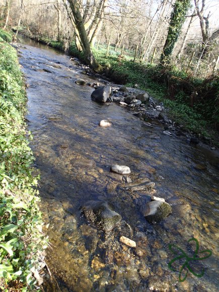 Silverburn River