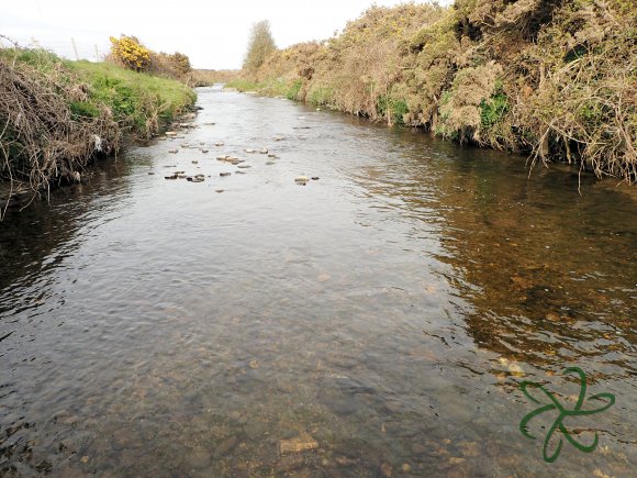 Silverburn River (lower stretch)