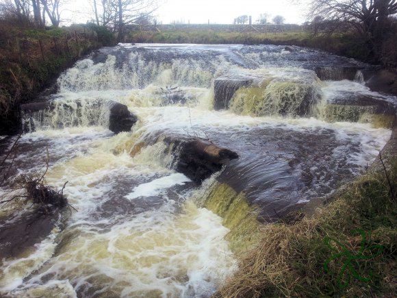 Silverburn River Weir and Fish Pass