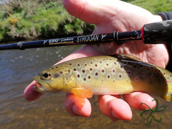 Silverburn Lower Stretch - Strooan Tenkara