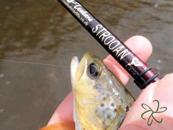 Silverburn Lower Stretch - Strooan Tenkara