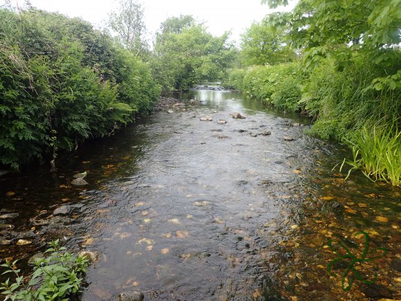 Upper Silverburn River