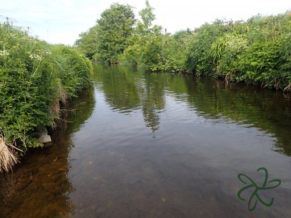 Upper Silverburn River